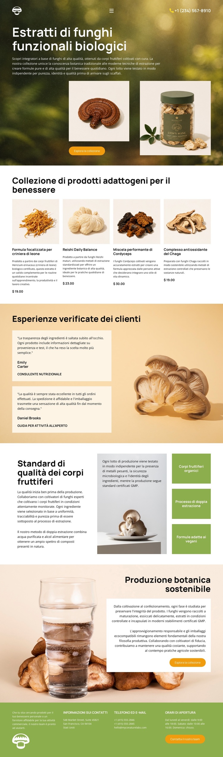 Benessere con i funghi biologici Tema WordPress