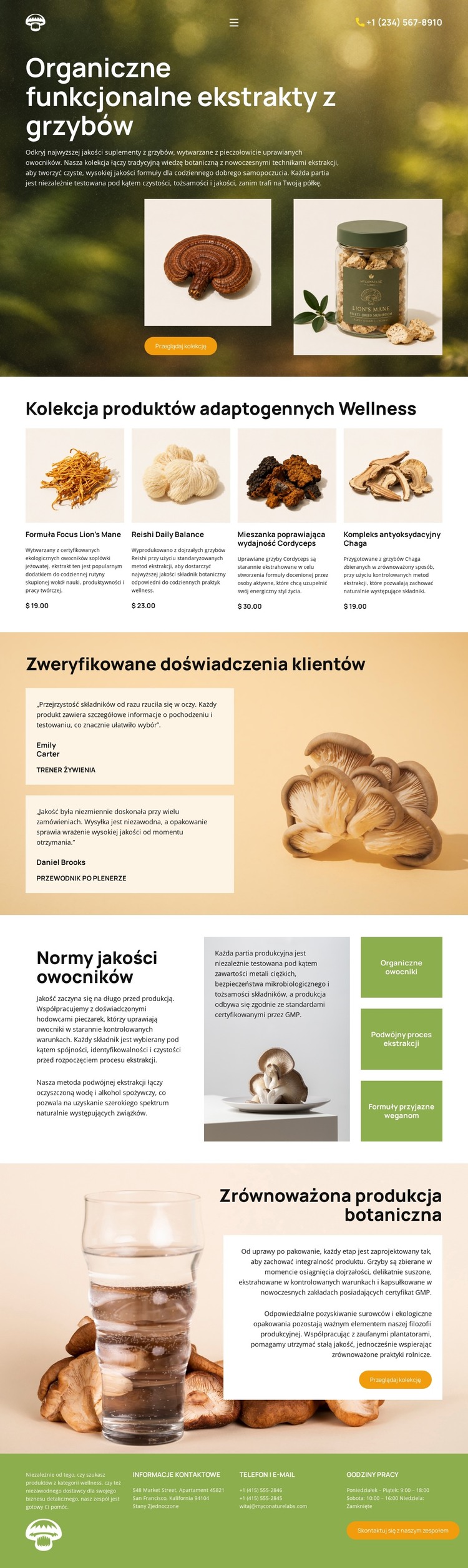 Organiczne dobre samopoczucie grzybami Szablon HTML