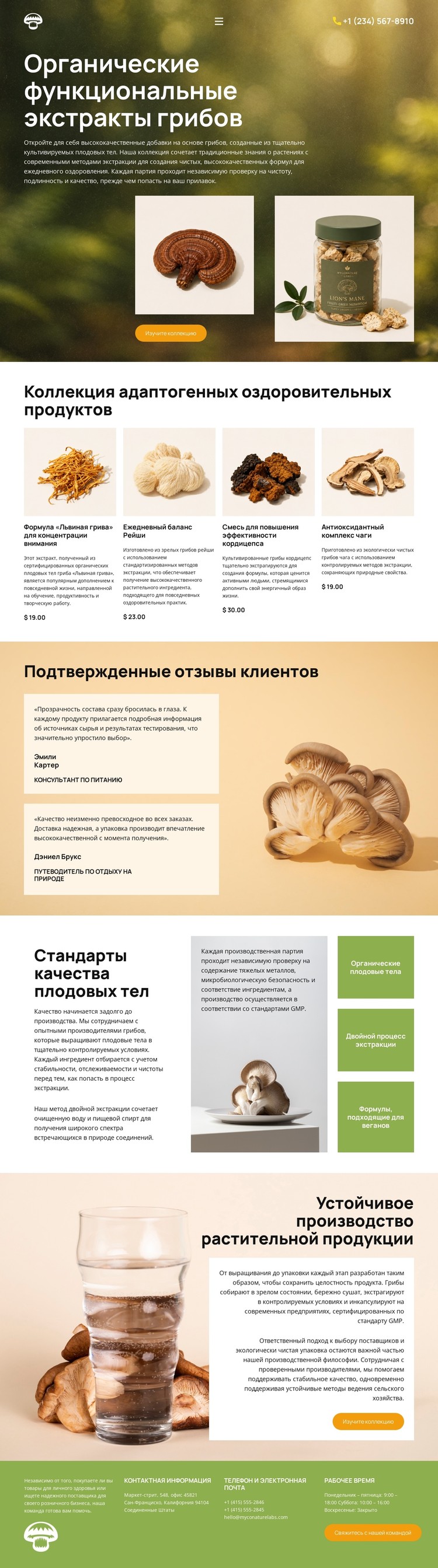 Оздоровление с помощью органических грибов CSS шаблон