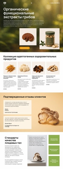 Оздоровление С Помощью Органических Грибов – Универсальный Макет Сайта