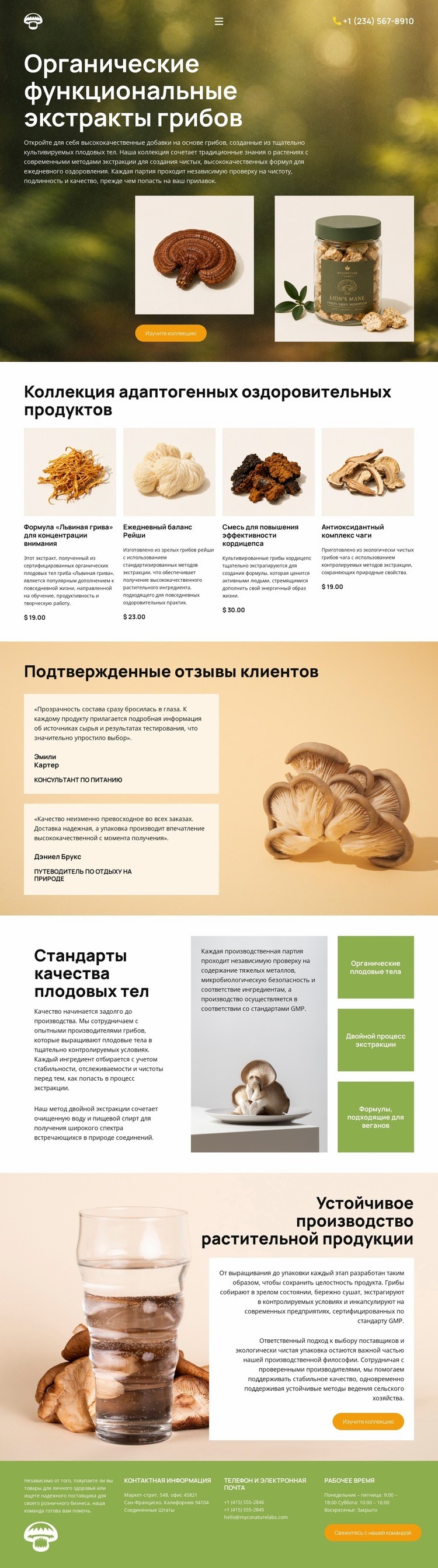 Оздоровление с помощью органических грибов Одностраничный шаблон