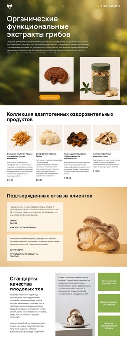 Оздоровление С Помощью Органических Грибов — Красивый Шаблон Коллекции Цветов