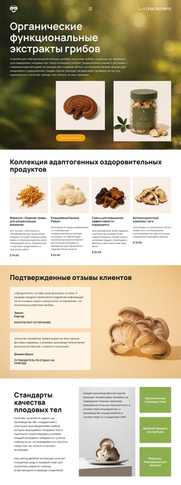 Оздоровление С Помощью Органических Грибов — Многофункциональная Тема WordPress