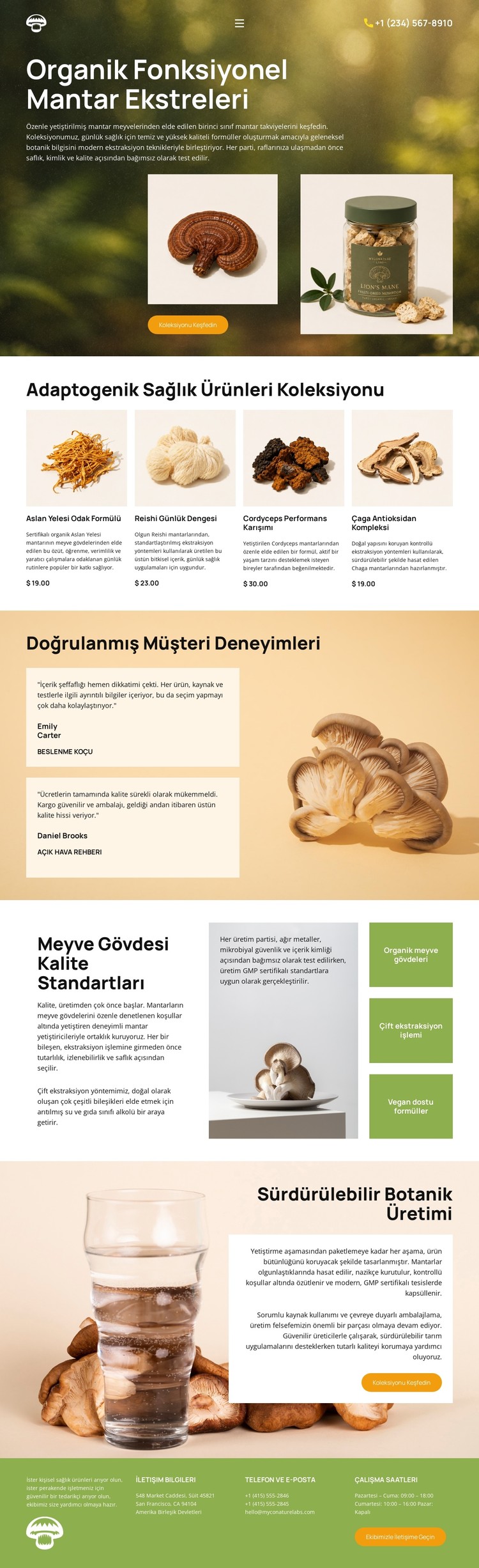Organik Mantar Sağlığı CSS Şablonu