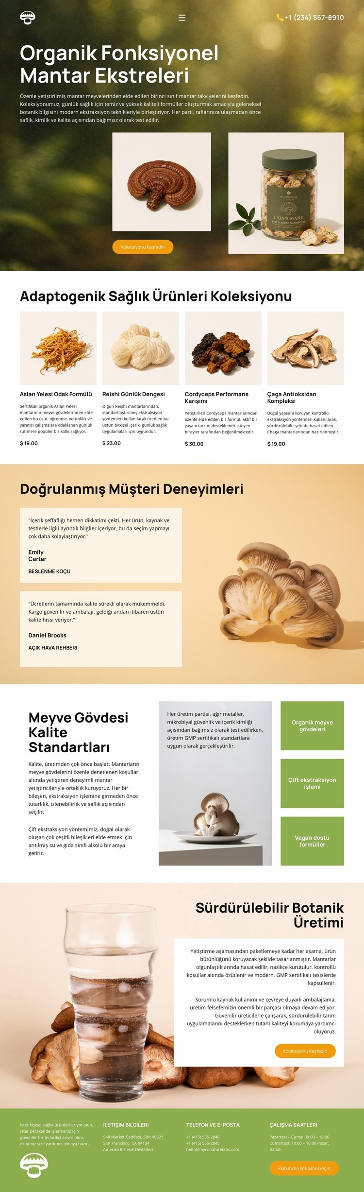 Organik Mantar Sağlığı Bir Sayfa Şablonu