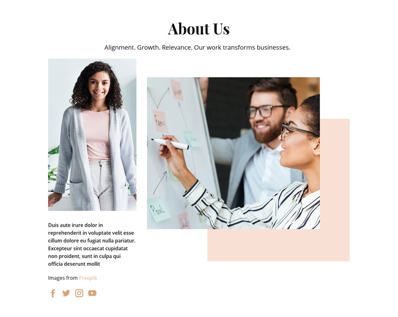 Development programs for organizations Wix Template Alternative