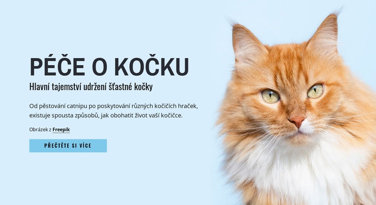 Tipy a rady pro péči o kočku Šablona HTML