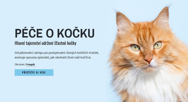 Tipy a rady pro péči o kočku Téma WordPress