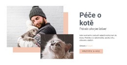 Péče O Vaši Kočku - Moderní Design Stránek