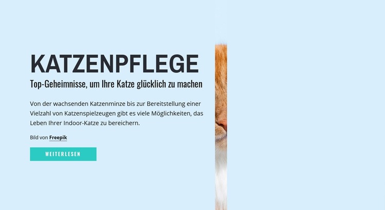 Tipps und Ratschläge zur Katzenpflege HTML5-Vorlage