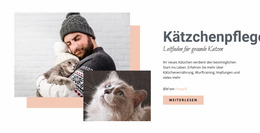 Kümmere Dich Um Deine Katze - Joomla-Vorlage Für Jedes Gerät