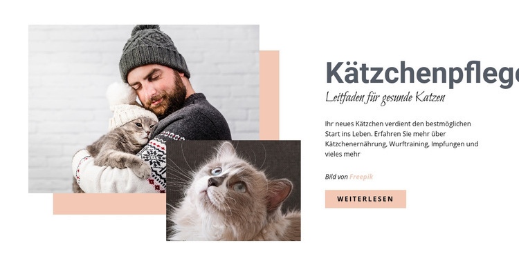 Kümmere dich um deine Katze Website design