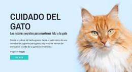 Un Diseño De Sitio Web Exclusivo Para Consejos Y Sugerencias Para El Cuidado De Gatos