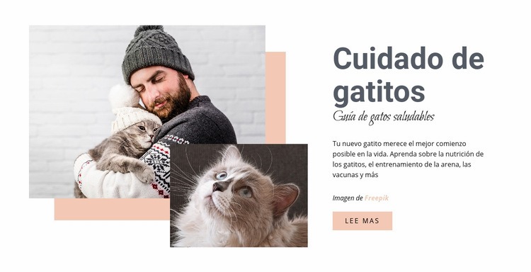 Cuidando a tu gato Maqueta de sitio web