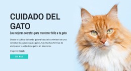 Consejos Y Sugerencias Para El Cuidado De Gatos - Plantilla Creativa Multipropósito