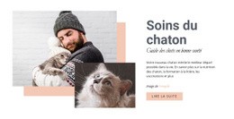 Prendre Soin De Votre Chat - Conception De Site Moderne