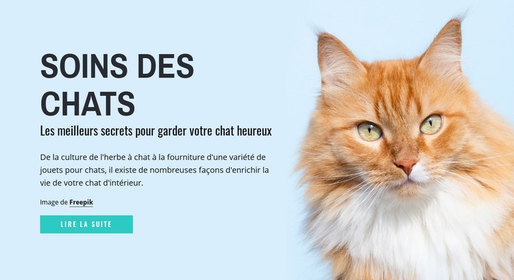 Conseils et astuces pour le soin du chat Maquette de site Web
