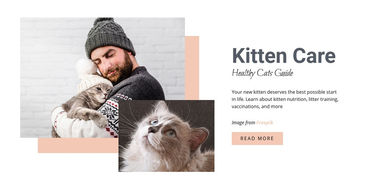 Caring for your cat Homepage Design
