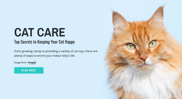 Cat care tips and advice Homepage Design