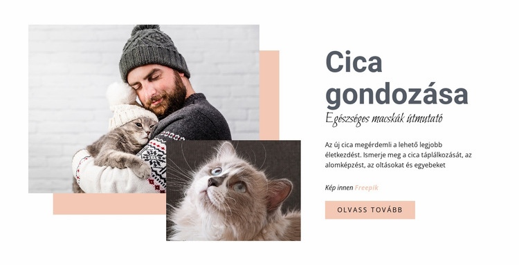 A macskája gondozása Weboldal tervezés