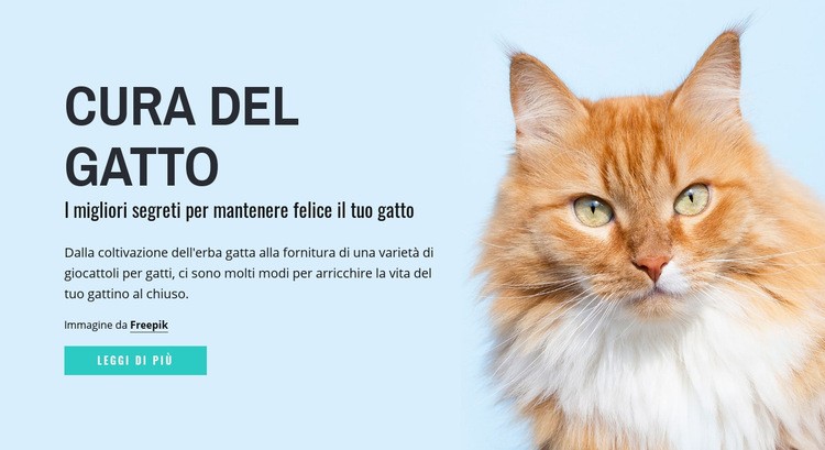 Suggerimenti e consigli per la cura del gatto Modelli di Website Builder