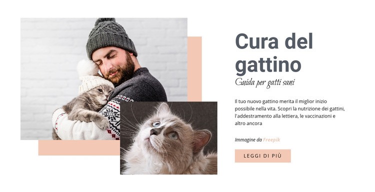 Prendersi cura del tuo gatto Mockup del sito web
