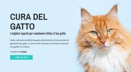Suggerimenti E Consigli Per La Cura Del Gatto - Download Del Modello HTML