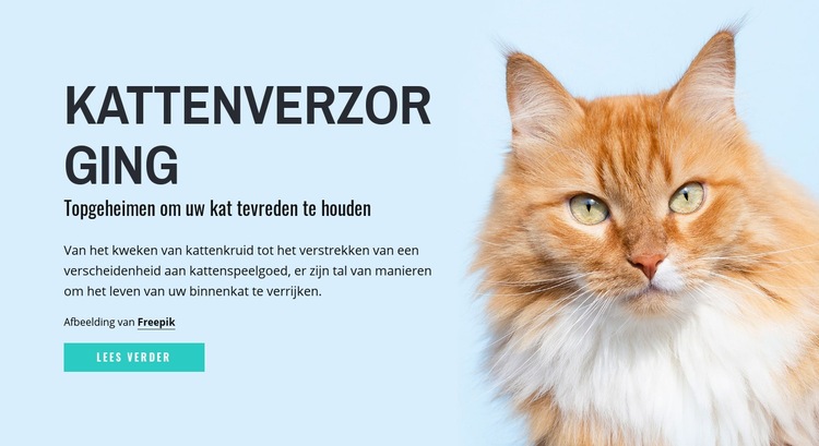 Verzorgingstips en advies voor katten HTML-sjabloon