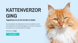 Verzorgingstips En Advies Voor Katten - Websitesjabloon Downloaden