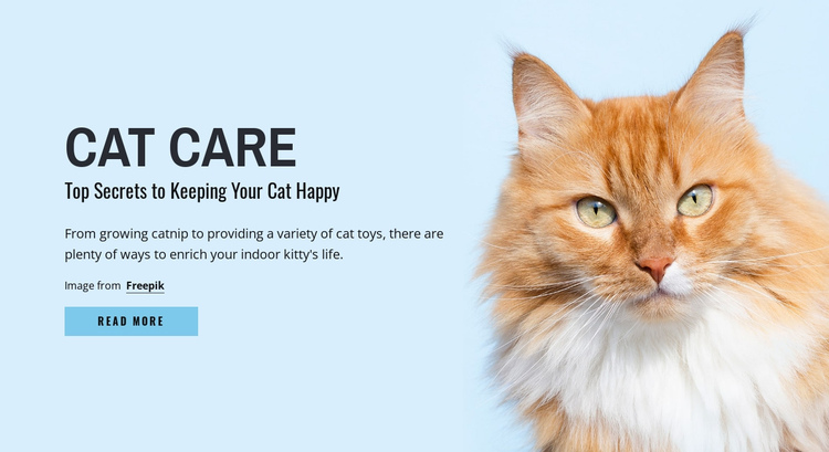 Cat care tips and advice One Page Template