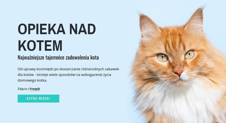 Wskazówki i porady dotyczące pielęgnacji kota Makieta strony internetowej