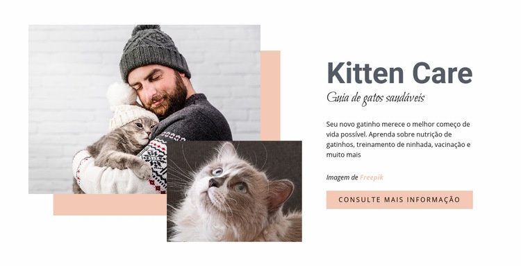 Cuidando do seu gato Design do site