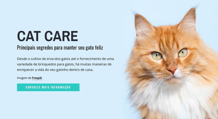 Dicas e conselhos sobre cuidados com gatos Design do site
