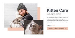 Cuidando Do Seu Gato - Inspiração Da Página De Destino