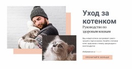 Уход За Кошкой – Вдохновение Для Целевой Страницы