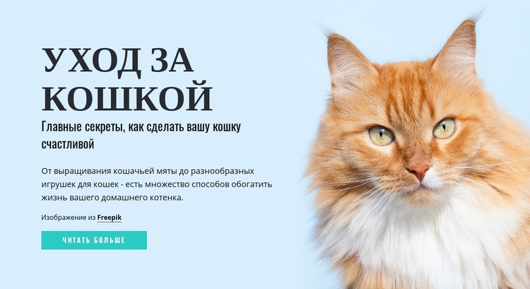 Советы и рекомендации по уходу за кошкой Шаблон веб-сайта