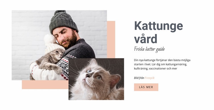 Ta hand om din katt HTML-mall