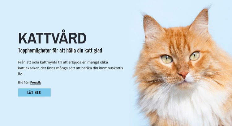 Kattvårdstips och råd HTML-mall