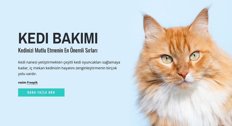 Kedi bakımı ipuçları ve tavsiyeleri Html Web Sitesi Oluşturucu
