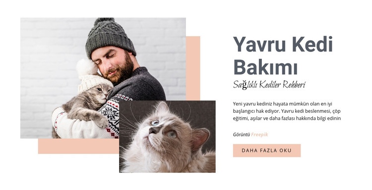 Kedinize bakmak Web sitesi tasarımı