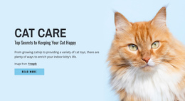 Cat Care Tips And Advice Website Editor Free