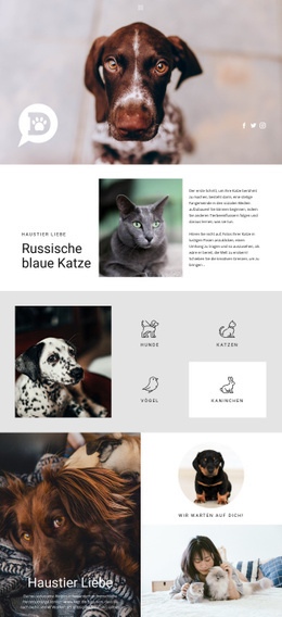 Pflege Für Haustiere Und Tiere – Gebrauchsfertige HTML5-Vorlage
