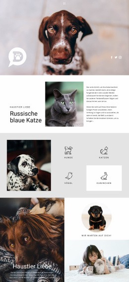 Pflege Für Haustiere Und Tiere - Website-Vorlagen