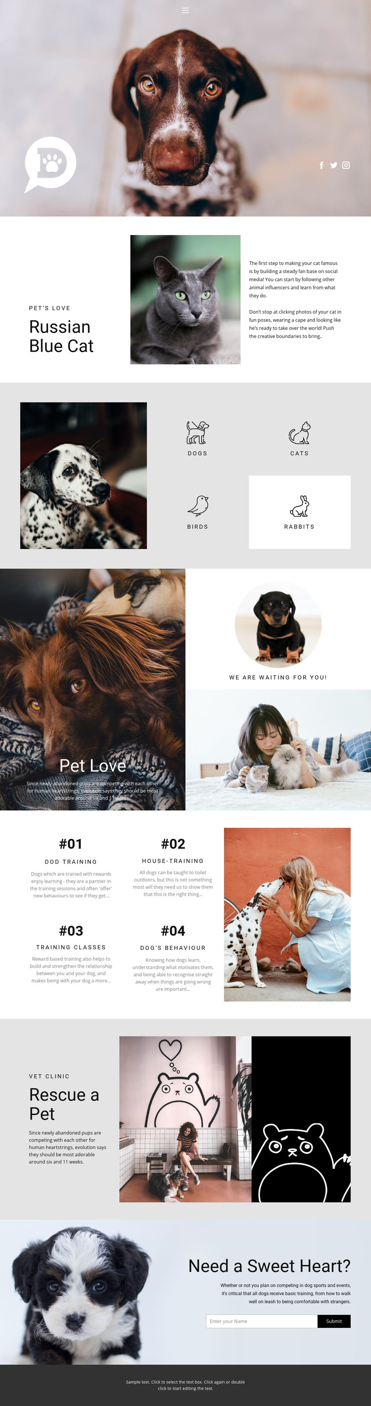 Care for pets and animals Homepage Design
