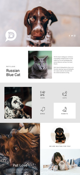 Zorg Voor Huisdieren En Dieren - HTML-Sjabloon Downloaden