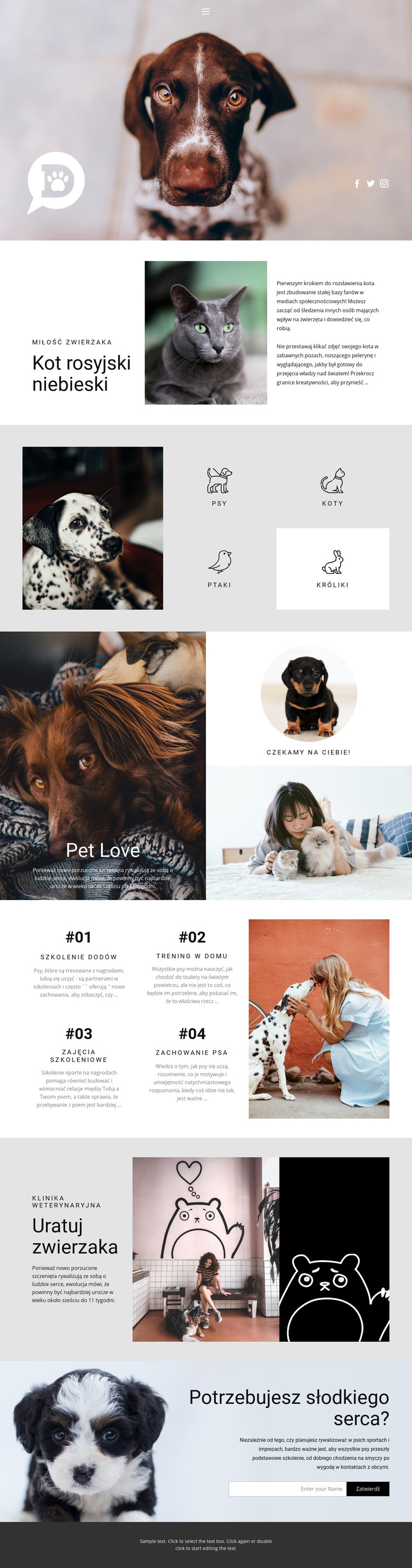 Dbaj o zwierzęta domowe i zwierzęta Szablon HTML