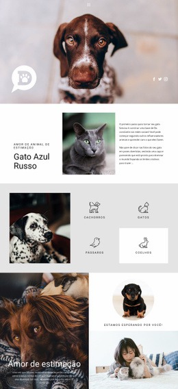 Cuide De Animais De Estimação E Animais Web Design