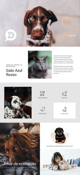 Cuide De Animais De Estimação E Animais - HTML Page Creator