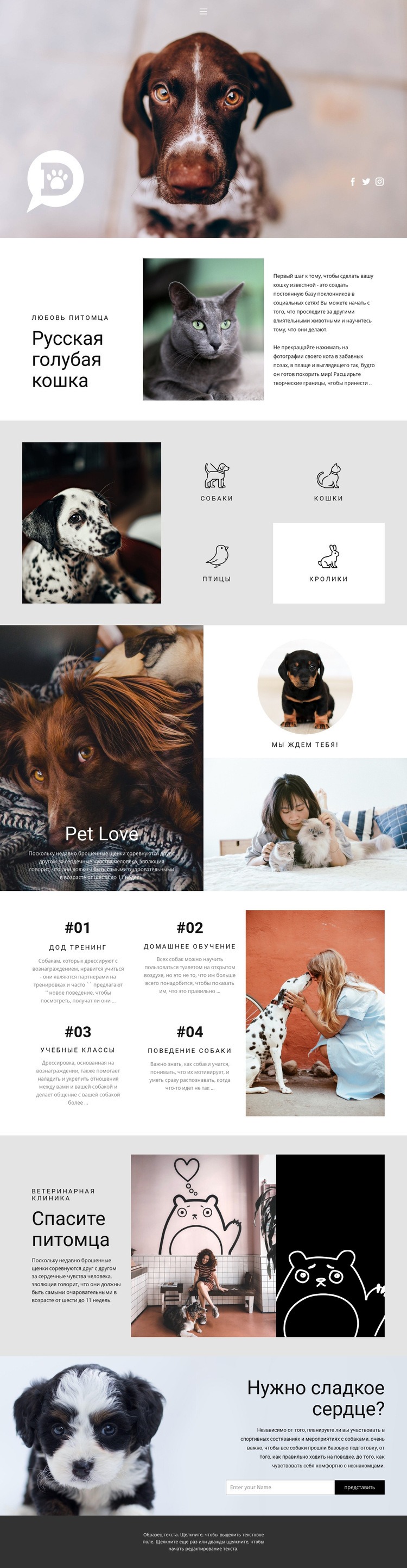 Уход за домашними и животными Дизайн сайта