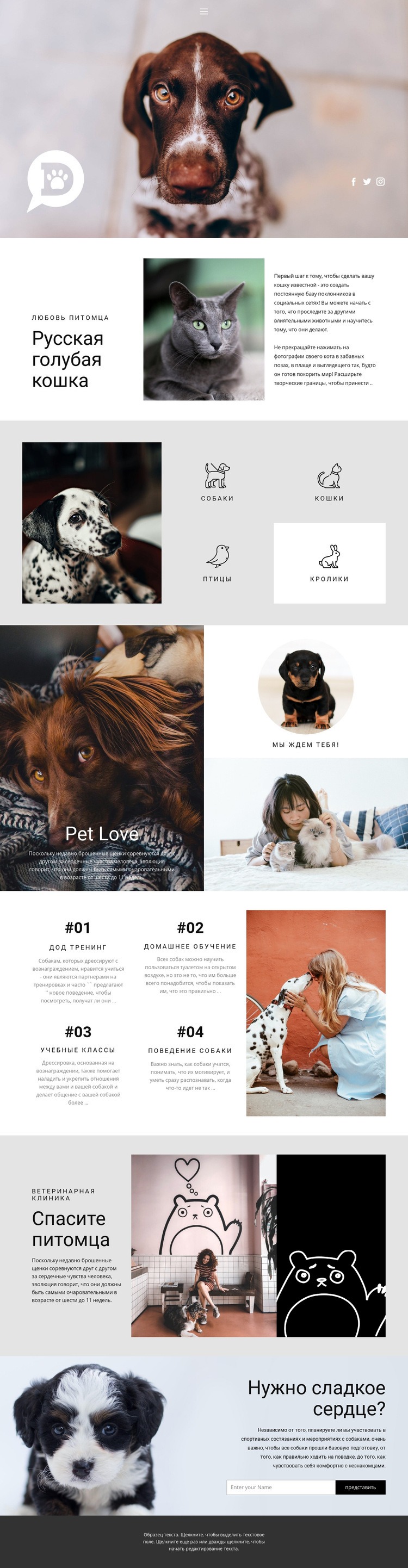 Уход за домашними и животными HTML шаблон